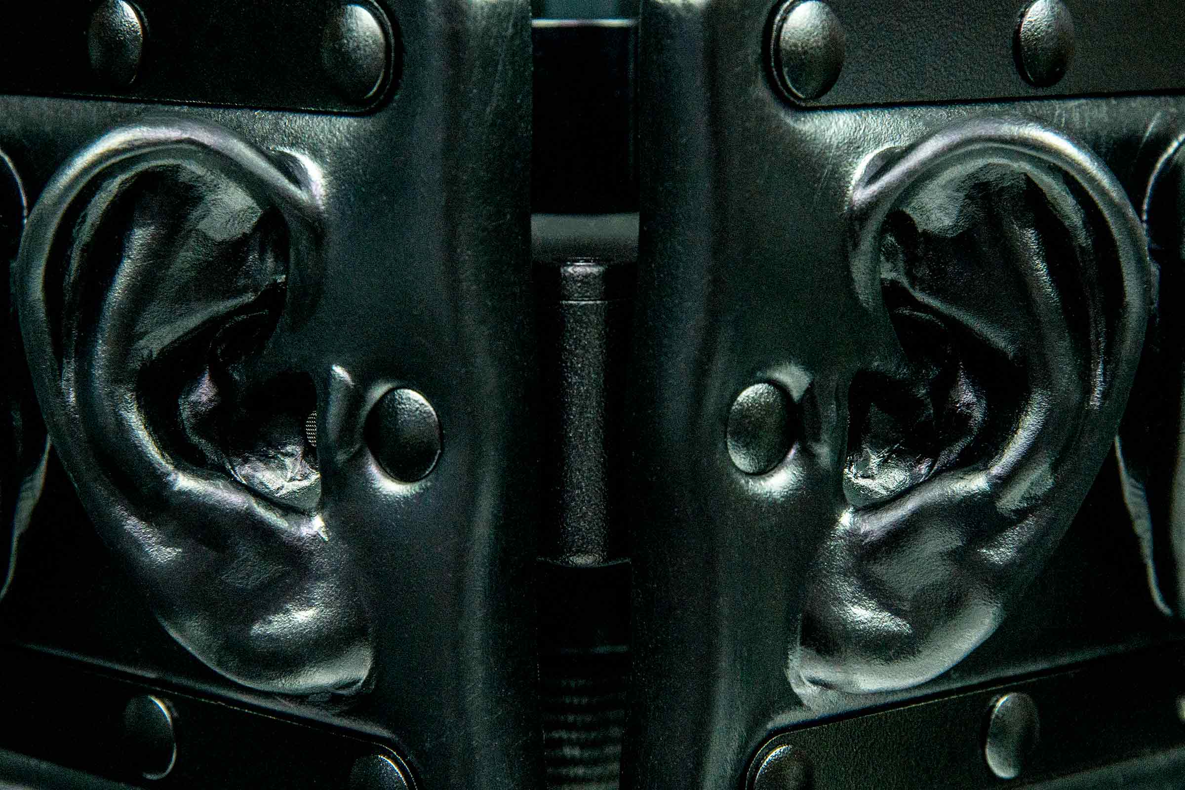 Omni Pro Binaural Microphone - Image 11