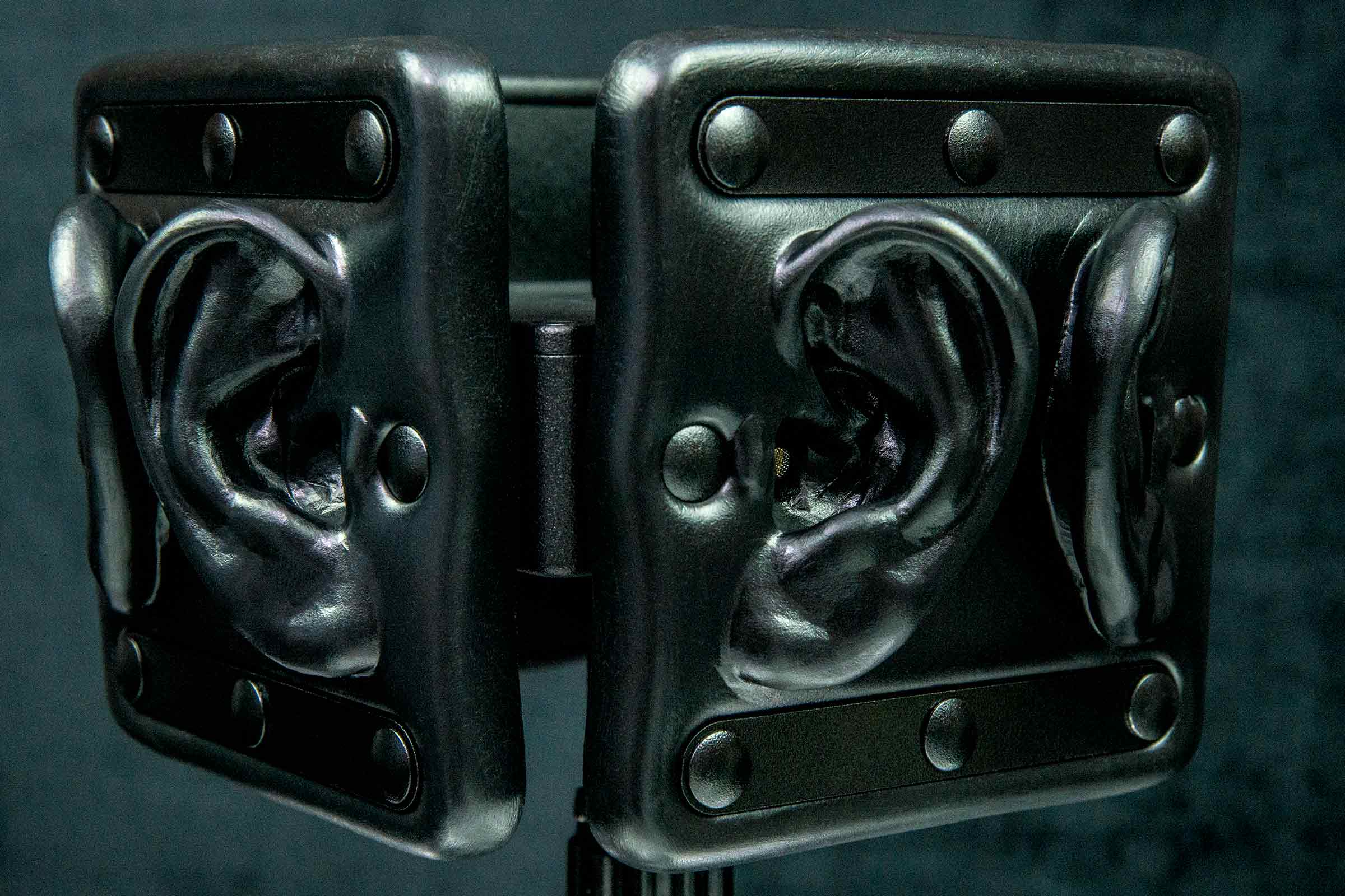 Omni Pro Binaural Microphone - Image 7